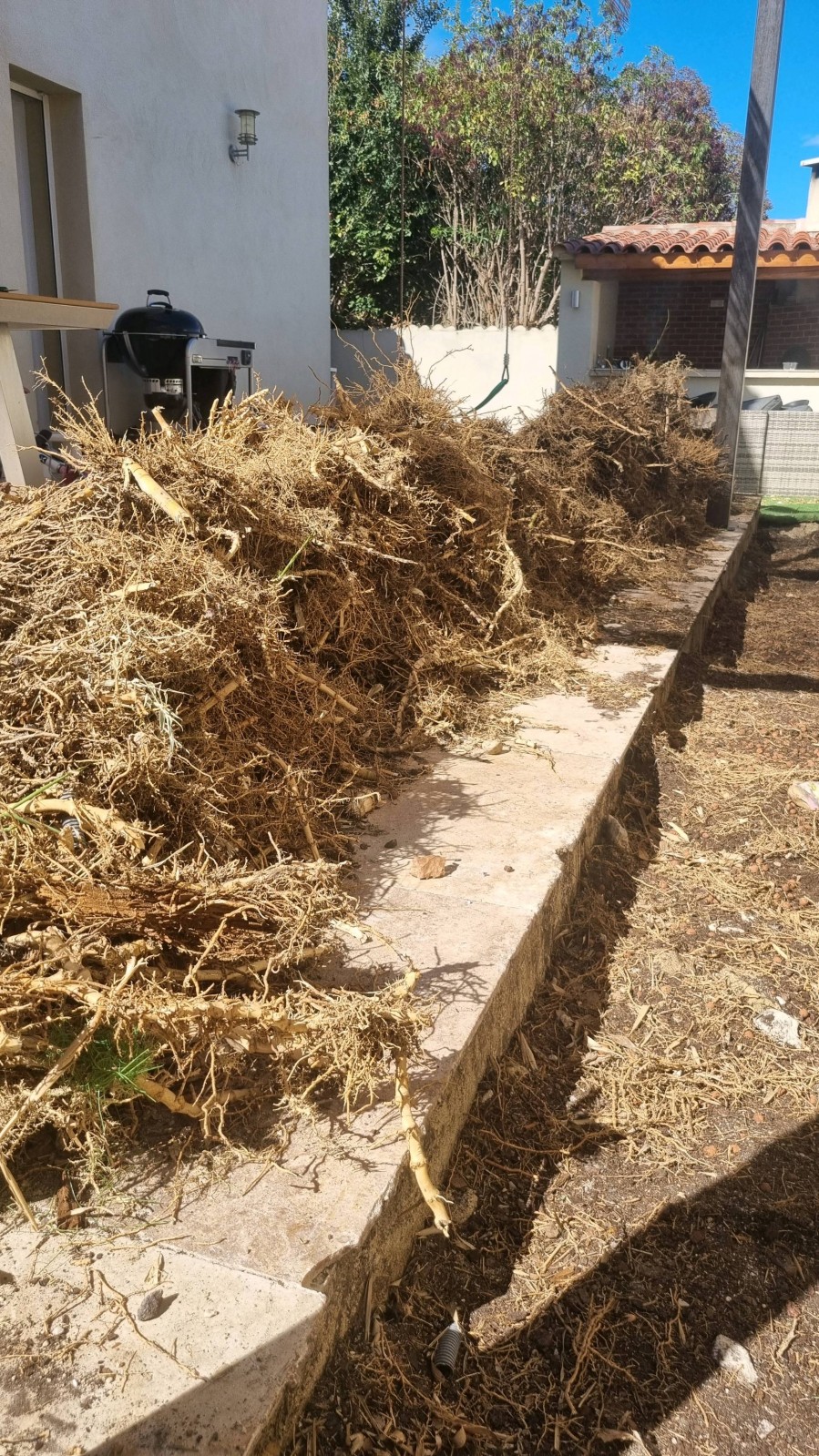 Création d'ambiance lumineuse dans un espace vert à Salon de Provence